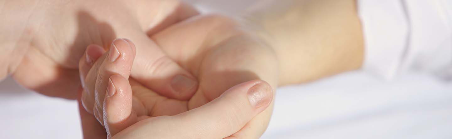 ส่วนบนสุดของเว็บไซต์